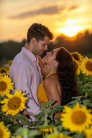 Southern & Rhett - Sunflower Field at the Iron Horse
