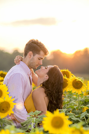 Southern & Rhett - Sunflower Field at the Iron Horse