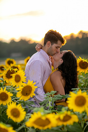 Southern & Rhett - Sunflower Field at the Iron Horse