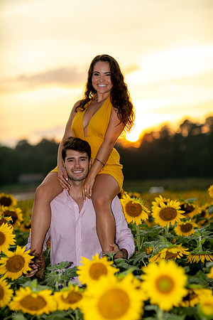 Southern & Rhett - Sunflower Field at the Iron Horse