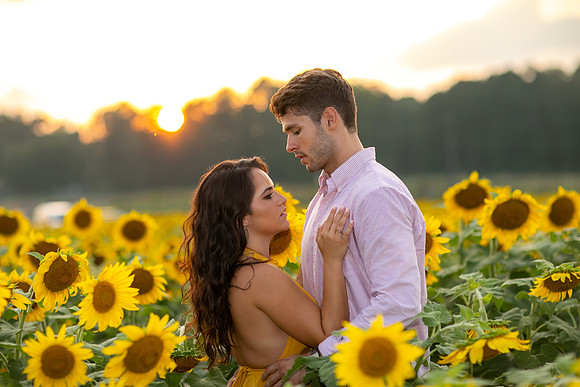 Southern & Rhett - Sunflower Field at the Iron Horse