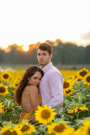 Southern & Rhett - Sunflower Field at the Iron Horse