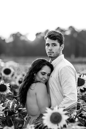 Southern & Rhett - Sunflower Field at the Iron Horse