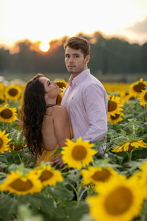 Southern & Rhett - Sunflower Field at the Iron Horse