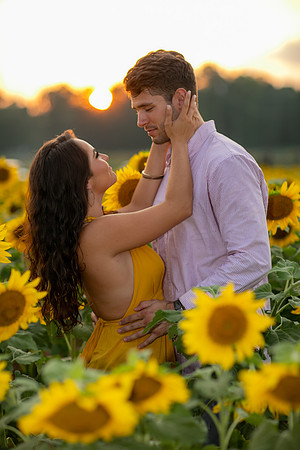 Southern & Rhett - Sunflower Field at the Iron Horse