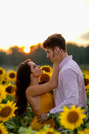 Southern & Rhett - Sunflower Field at the Iron Horse