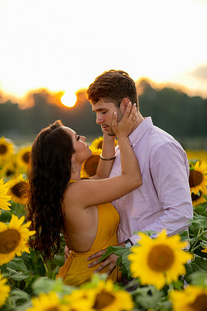 Southern & Rhett - Sunflower Field at the Iron Horse