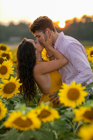 Southern & Rhett - Sunflower Field at the Iron Horse