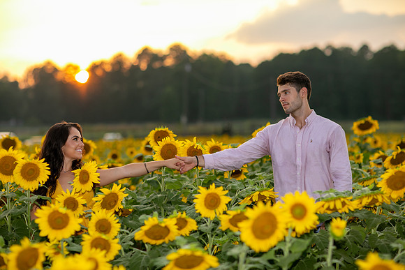 Southern & Rhett - Sunflower Field at the Iron Horse