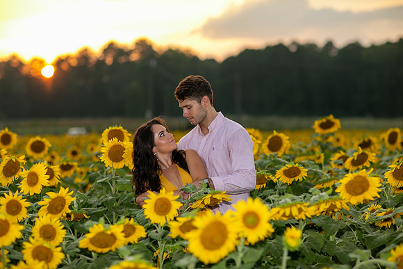 Southern & Rhett - Sunflower Field at the Iron Horse