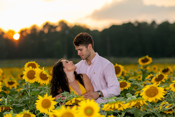 Southern & Rhett - Sunflower Field at the Iron Horse