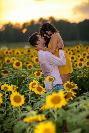 Southern & Rhett - Sunflower Field at the Iron Horse