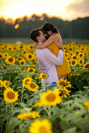 Southern & Rhett - Sunflower Field at the Iron Horse