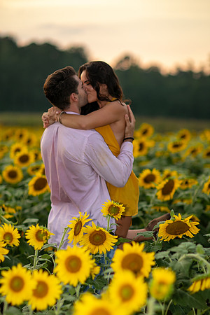 Southern & Rhett - Sunflower Field at the Iron Horse