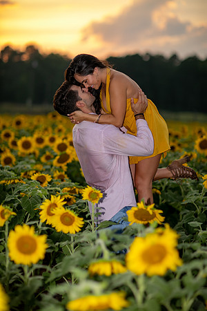 Southern & Rhett - Sunflower Field at the Iron Horse