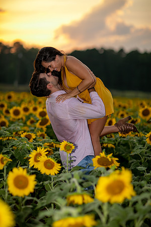 Southern & Rhett - Sunflower Field at the Iron Horse