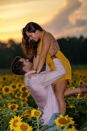 Southern & Rhett - Sunflower Field at the Iron Horse