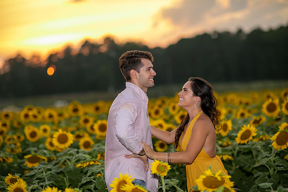 Southern & Rhett - Sunflower Field at the Iron Horse