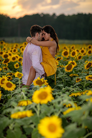 Southern & Rhett - Sunflower Field at the Iron Horse