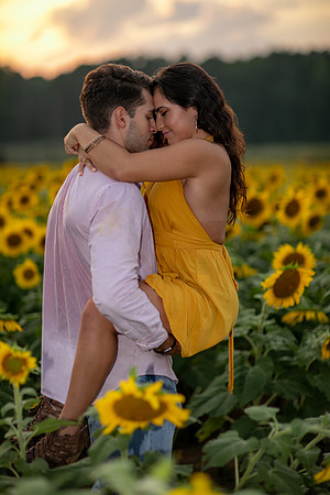 Southern & Rhett - Sunflower Field at the Iron Horse