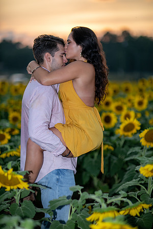 Southern & Rhett - Sunflower Field at the Iron Horse