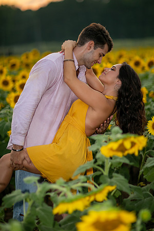 Southern & Rhett - Sunflower Field at the Iron Horse