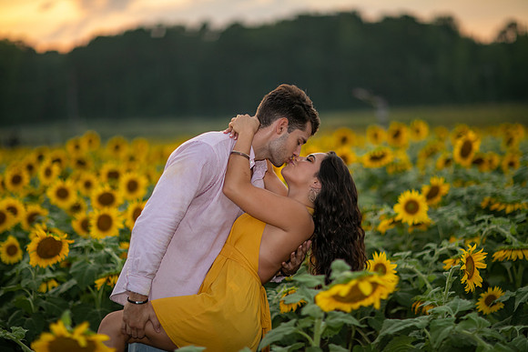Southern & Rhett - Sunflower Field at the Iron Horse