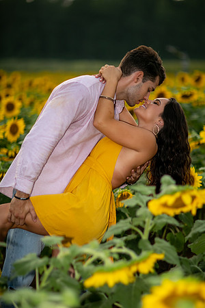 Southern & Rhett - Sunflower Field at the Iron Horse