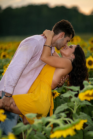 Southern & Rhett - Sunflower Field at the Iron Horse