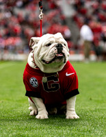 UGA X
