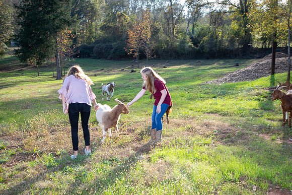 Ashley & Aaron's Fall Family Photos
