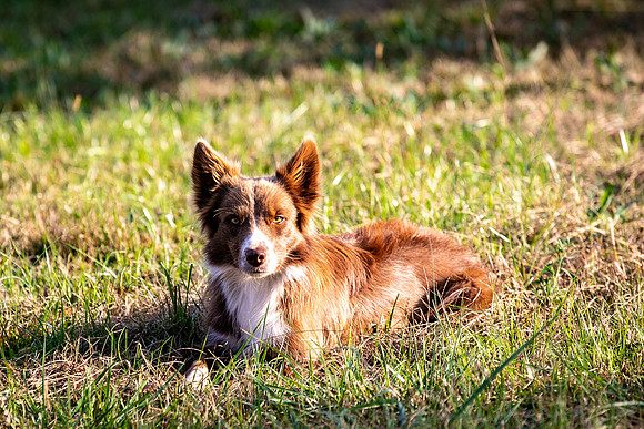 Ashley & Aaron's Fall Family Photos
