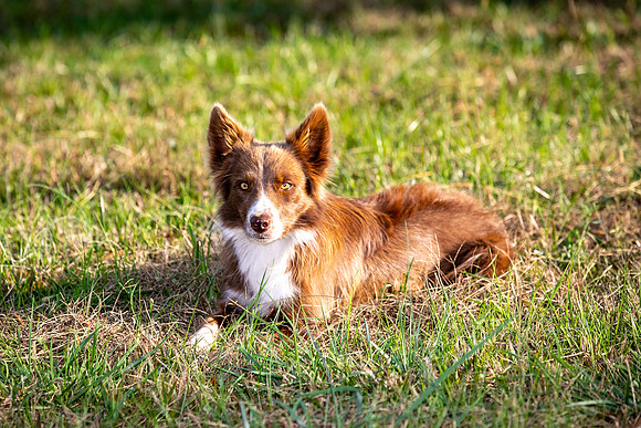 Ashley & Aaron's Fall Family Photos