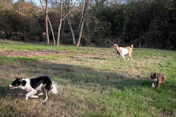Ashley & Aaron's Fall Family Photos