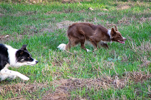 Ashley & Aaron's Fall Family Photos