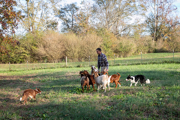 Ashley & Aaron's Fall Family Photos