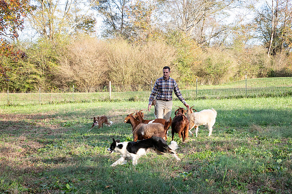 Ashley & Aaron's Fall Family Photos