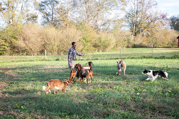 Ashley & Aaron's Fall Family Photos