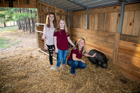 Ashley & Aaron's Fall Family Photos