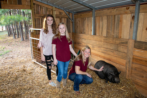 Ashley & Aaron's Fall Family Photos