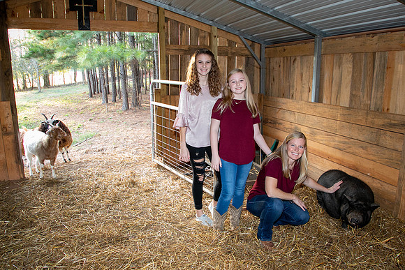 Ashley & Aaron's Fall Family Photos