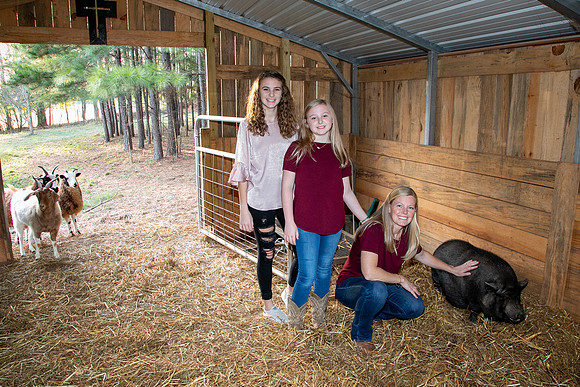 Ashley & Aaron's Fall Family Photos