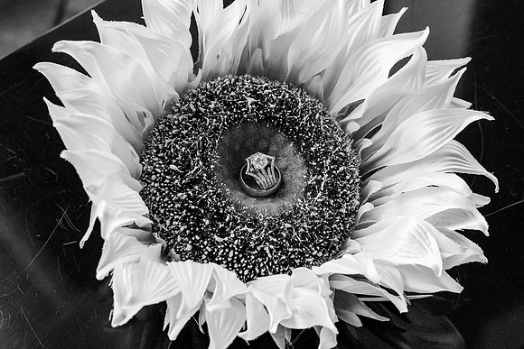Jennifer & Kevin's Wedding Day