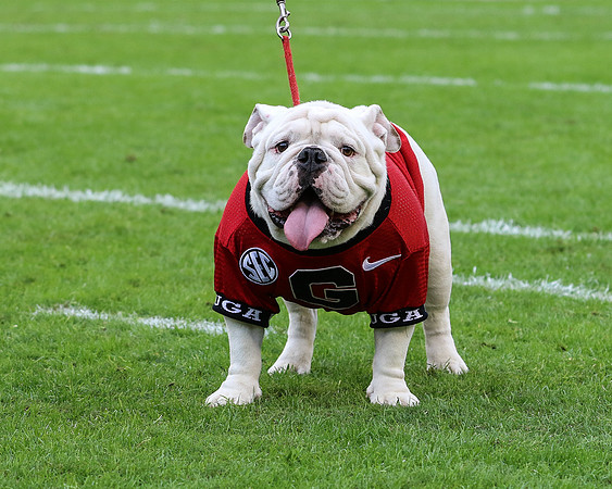UGA X