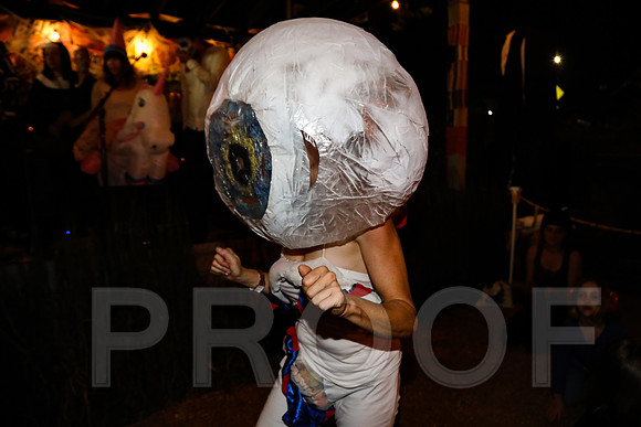 Wild Rumpus Parade 2016