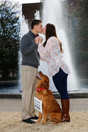 Stephen's Proposal to Aysha