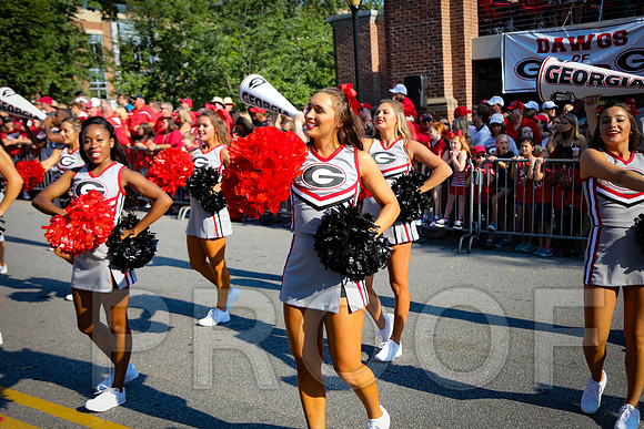 Georgia vs Nicholls 2016 Football