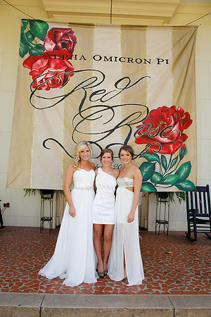 AOII Red Rose Formal 2014