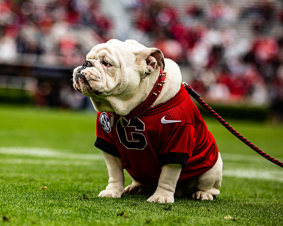 UGA X