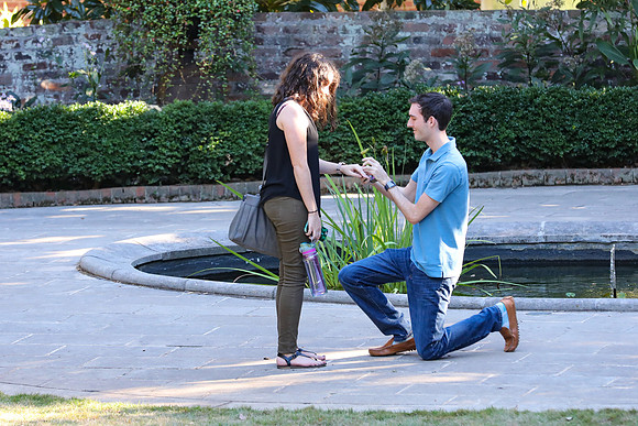 Stephen's Proposal to Morgan 2016